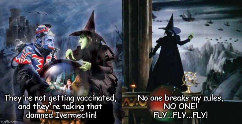 Pay no attention to that man behind the podium | They're not getting vaccinated,
and they're taking that
 damned Ivermectin! No one breaks my rules,
NO ONE!
FLY...FLY...FLY! | image tagged in fly fly fly | made w/ Imgflip meme maker