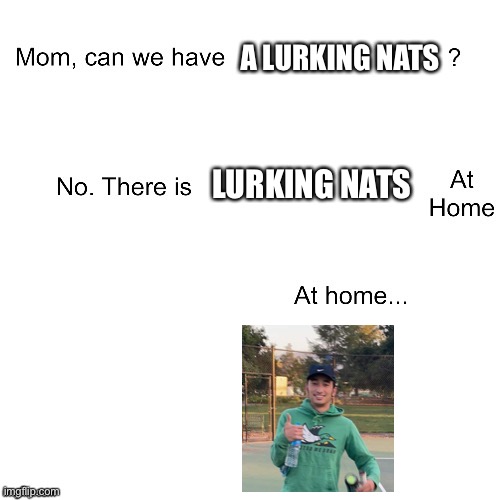 Mom can we have | A LURKING NATS; LURKING NATS | image tagged in mom can we have | made w/ Imgflip meme maker