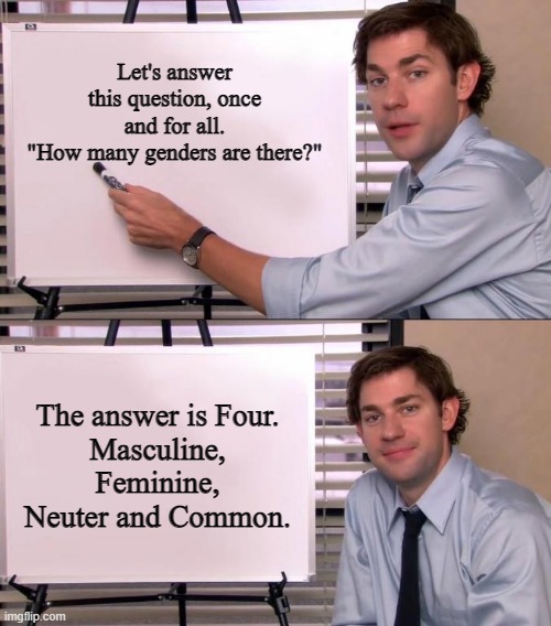 There ya go. | Let's answer this question, once and for all.
"How many genders are there?"; The answer is Four.
Masculine, Feminine, Neuter and Common. | image tagged in jim halpert explains,psychological gender,lgbtq,genders,there you go | made w/ Imgflip meme maker