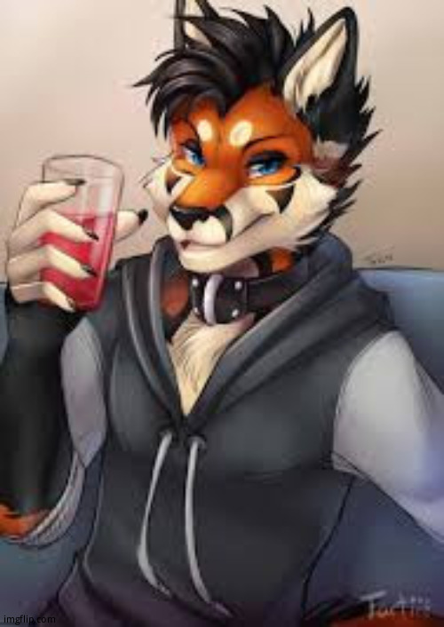 Cheers to the person below | image tagged in furry leonardo dicaprio | made w/ Imgflip meme maker