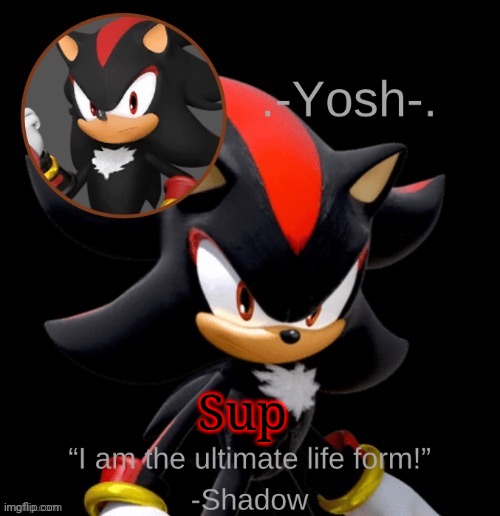 .-Yosh-.'s Shadow Temp | Sup | image tagged in -yosh- 's shadow temp | made w/ Imgflip meme maker