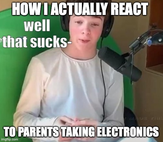 How your face looks like | HOW I ACTUALLY REACT; TO PARENTS TAKING ELECTRONICS | image tagged in tubbo well that sucks- | made w/ Imgflip meme maker