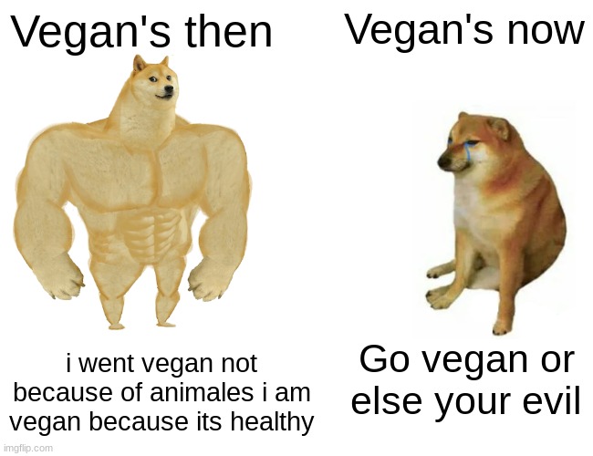 That vegan teacher meme | Vegan's then; Vegan's now; i went vegan not because of animales i am vegan because its healthy; Go vegan or else your evil | image tagged in memes,buff doge vs cheems | made w/ Imgflip meme maker