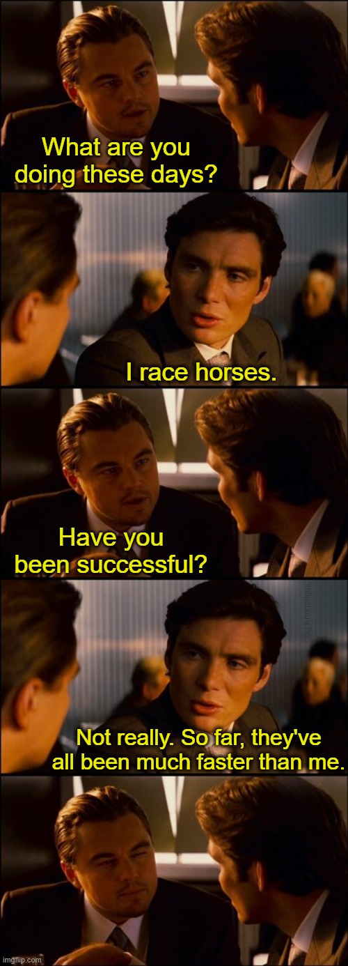 Asset analysis |  What are you doing these days? I race horses. Have you been successful? DJ Anomalous; Not really. So far, they've all been much faster than me. | image tagged in conversation,business,horse,racing,eyeroll,pun | made w/ Imgflip meme maker