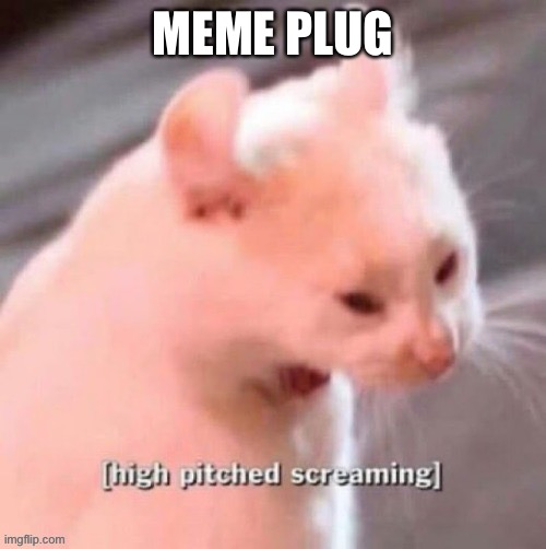 https://imgflip.com/i/5nk2p0 | MEME PLUG | image tagged in high pitched screaming | made w/ Imgflip meme maker