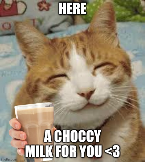 happy cat gives you choccy milk | HERE; A CHOCCY MILK FOR YOU <3 | image tagged in happy cat,cat,choccy milk,meme,memes,cat meme | made w/ Imgflip meme maker
