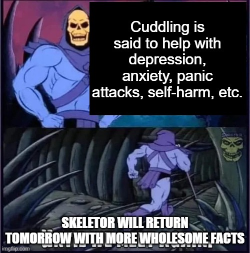 Until we meet again. | Cuddling is said to help with depression, anxiety, panic attacks, self-harm, etc. SKELETOR WILL RETURN TOMORROW WITH MORE WHOLESOME FACTS | image tagged in until we meet again | made w/ Imgflip meme maker