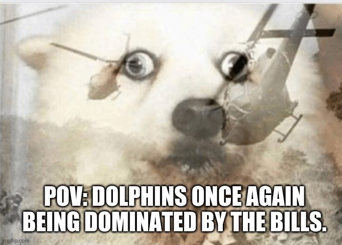 PTSD dog |  POV: DOLPHINS ONCE AGAIN BEING DOMINATED BY THE BILLS. | image tagged in ptsd dog,nfl,dolphins,bills,domination | made w/ Imgflip meme maker