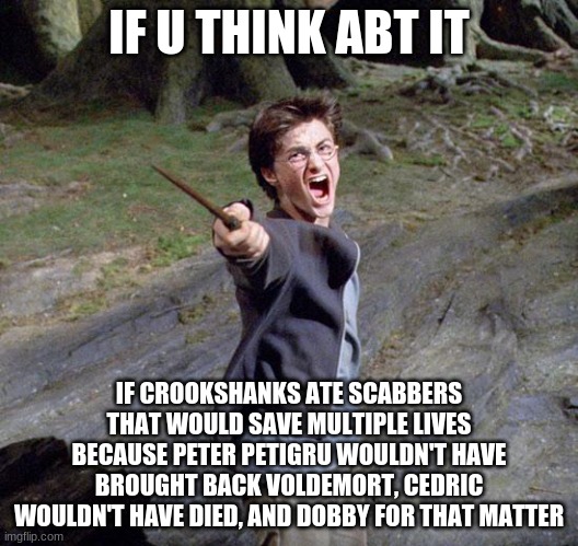 think abt it | IF U THINK ABT IT; IF CROOKSHANKS ATE SCABBERS THAT WOULD SAVE MULTIPLE LIVES BECAUSE PETER PETIGRU WOULDN'T HAVE BROUGHT BACK VOLDEMORT, CEDRIC WOULDN'T HAVE DIED, AND DOBBY FOR THAT MATTER | image tagged in harry potter,harry potter meme | made w/ Imgflip meme maker