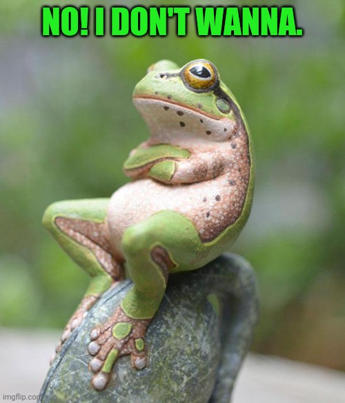 nah frog | NO! I DON'T WANNA. | image tagged in nah frog | made w/ Imgflip meme maker