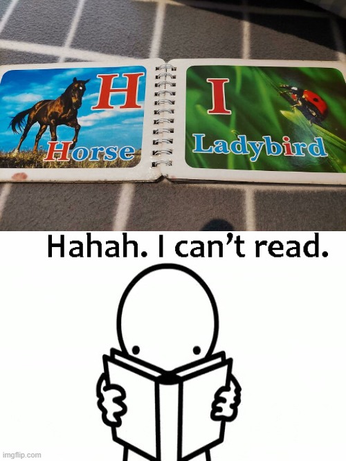 Ladybird more like Ladybug | image tagged in haha i can't read | made w/ Imgflip meme maker