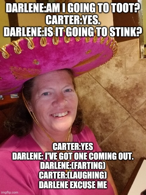 Darlene Miller farted | DARLENE:AM I GOING TO TOOT?
CARTER:YES.
DARLENE:IS IT GOING TO STINK? CARTER:YES
DARLENE: I'VE GOT ONE COMING OUT.
DARLENE:(FARTING)
CARTER:(LAUGHING)
DARLENE EXCUSE ME | image tagged in farts | made w/ Imgflip meme maker