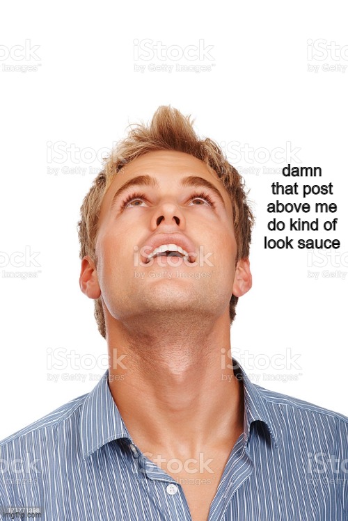 damn that post above me do kind of look sauce | made w/ Imgflip meme maker