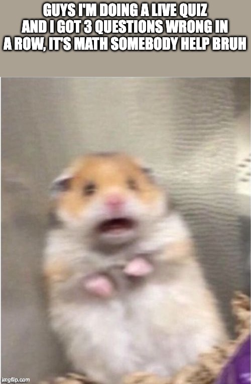 ahhhajgdkausdbhshdb | GUYS I'M DOING A LIVE QUIZ AND I GOT 3 QUESTIONS WRONG IN A ROW, IT'S MATH SOMEBODY HELP BRUH | image tagged in scared hamster | made w/ Imgflip meme maker