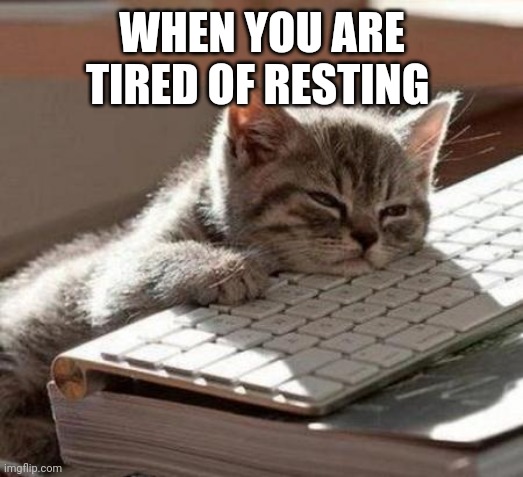 Tired cat |  WHEN YOU ARE TIRED OF RESTING | image tagged in tired cat,funny,funny memes | made w/ Imgflip meme maker