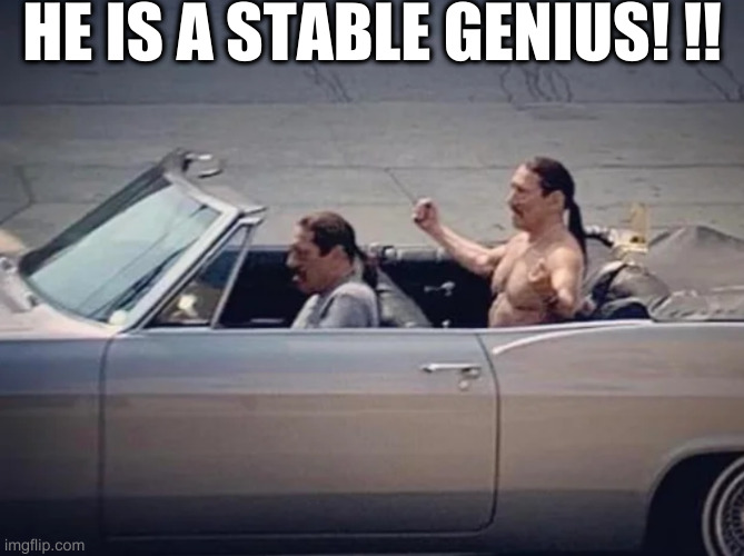 pretty much | HE IS A STABLE GENIUS! !! | image tagged in irony,rumpt | made w/ Imgflip meme maker