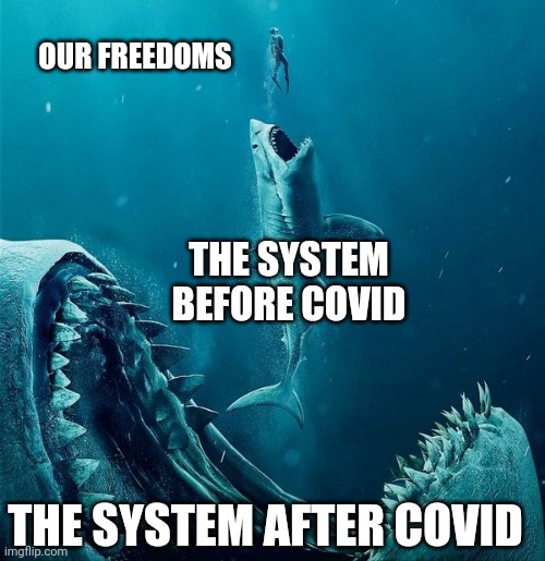 always a bigger shark |  OUR FREEDOMS; THE SYSTEM BEFORE COVID; THE SYSTEM AFTER COVID | image tagged in always a bigger shark,system,freedom,before and after | made w/ Imgflip meme maker
