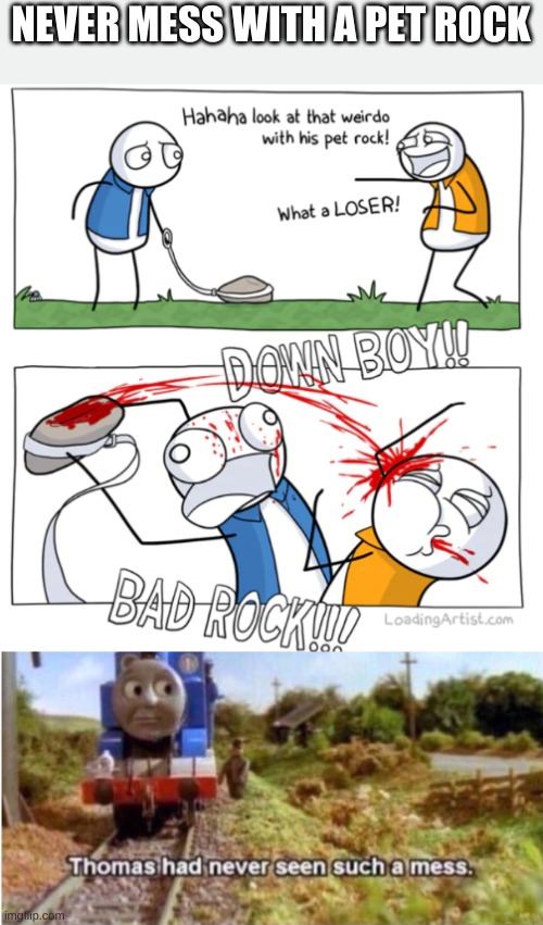NEVER MESS WITH A PET ROCK | image tagged in thomas has never seen such a mess | made w/ Imgflip meme maker