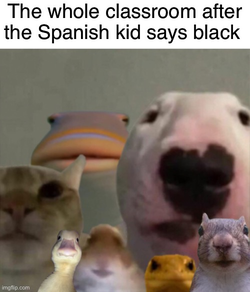 Uhh | The whole classroom after the Spanish kid says black | image tagged in the council remastered | made w/ Imgflip meme maker
