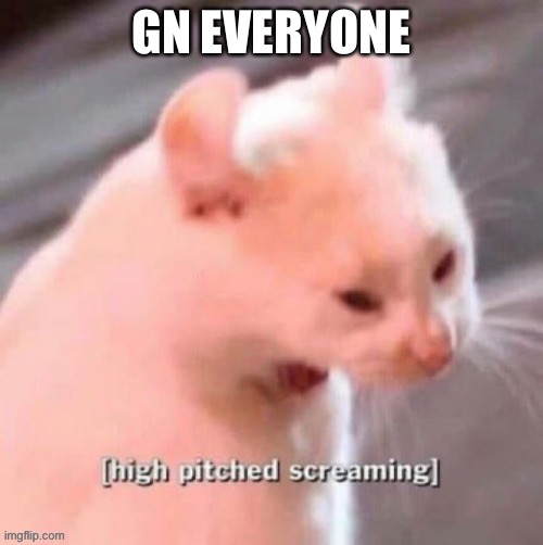 [high pitched screaming] | GN EVERYONE | image tagged in high pitched screaming | made w/ Imgflip meme maker