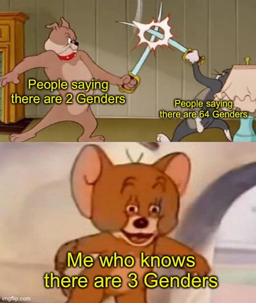 Man, Woman and Intersex | People saying there are 2 Genders; People saying there are 64 Genders; Me who knows there are 3 Genders | image tagged in tom and jerry swordfight | made w/ Imgflip meme maker