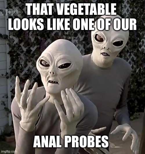 Aliens | THAT VEGETABLE  LOOKS LIKE ONE OF OUR ANAL PROBES | image tagged in aliens | made w/ Imgflip meme maker