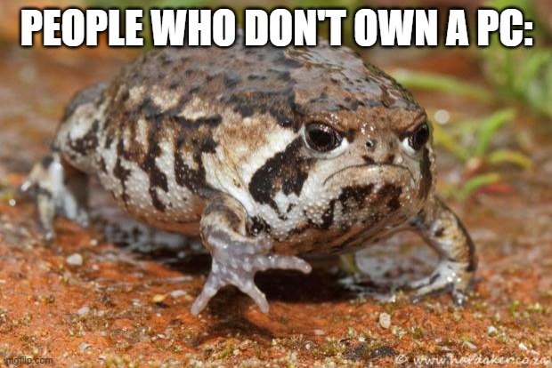 Grumpy Toad Meme | PEOPLE WHO DON'T OWN A PC: | image tagged in memes,grumpy toad | made w/ Imgflip meme maker