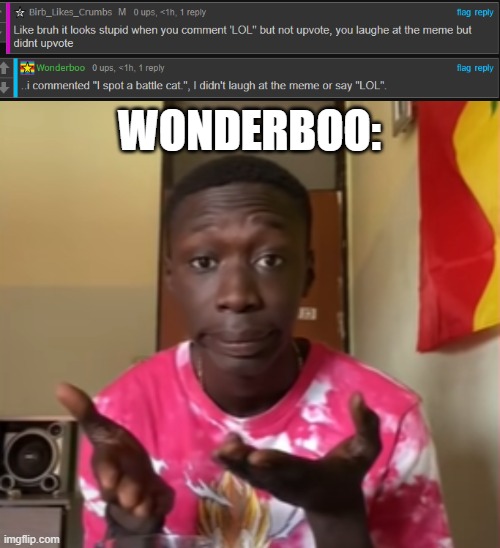 WONDERBOO: | image tagged in khaby lame | made w/ Imgflip meme maker