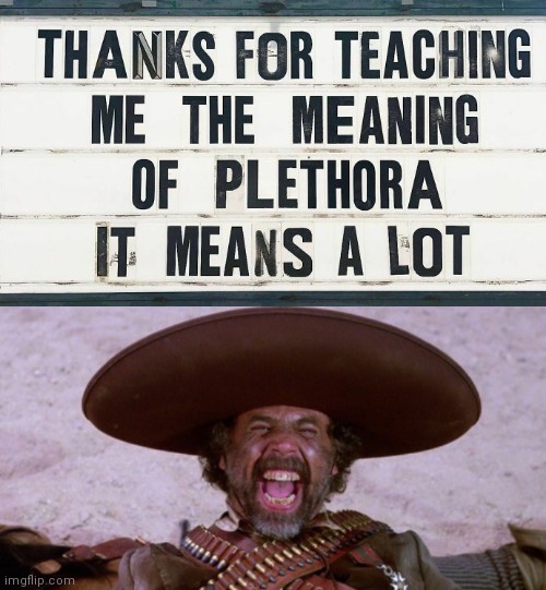 Would You Say I Have a Plethora of Pinatas? | image tagged in funny memes,eyeroll,three amigos | made w/ Imgflip meme maker
