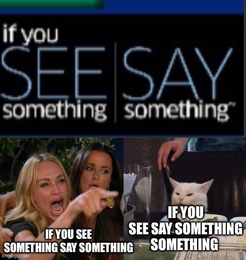 something something | IF YOU SEE SAY SOMETHING SOMETHING; IF YOU SEE SOMETHING SAY SOMETHING | image tagged in memes,woman yelling at cat | made w/ Imgflip meme maker