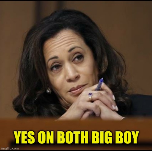 Kamala Harris  | YES ON BOTH BIG BOY | image tagged in kamala harris | made w/ Imgflip meme maker