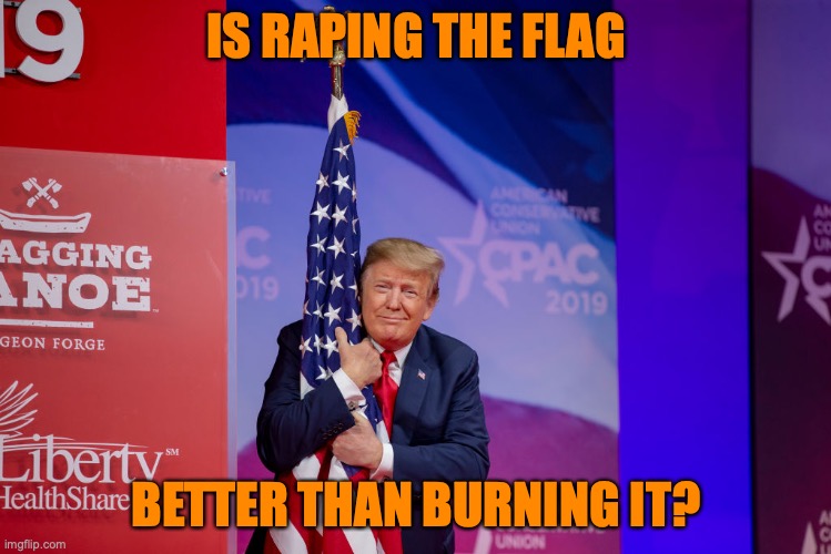 Trump Flag | IS RAPING THE FLAG; BETTER THAN BURNING IT? | image tagged in trump flag | made w/ Imgflip meme maker