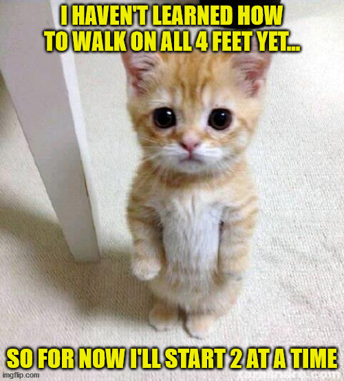 LEARNING TO WALK | image tagged in funny | made w/ Imgflip meme maker