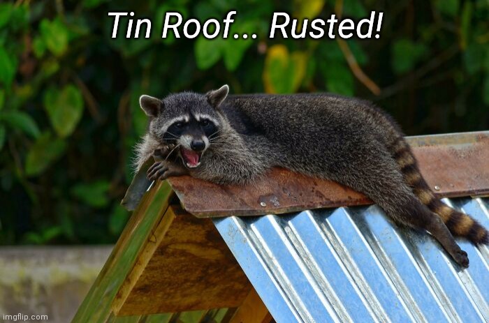Loveshack Baby Loveshack | Tin Roof... Rusted! | image tagged in funny memes,dad jokes,eyeroll | made w/ Imgflip meme maker