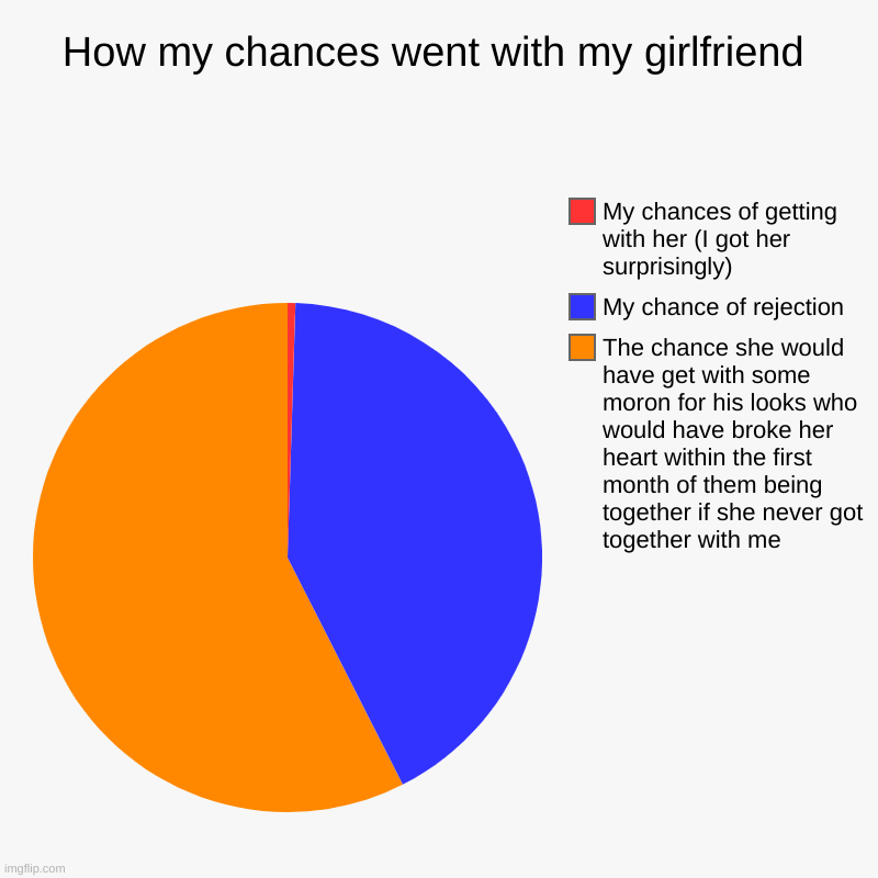 How my chances went with my girlfriend | The chance she would have get with some moron for his looks who would have broke her heart within t | image tagged in charts,pie charts | made w/ Imgflip chart maker
