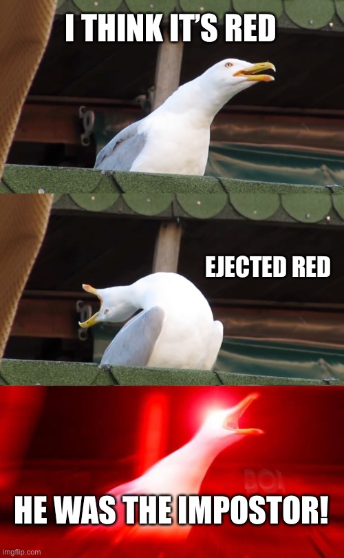 Among Us seagull meme | I THINK IT’S RED; EJECTED RED; HE WAS THE IMPOSTOR! | image tagged in inhaling seagull,among us | made w/ Imgflip meme maker