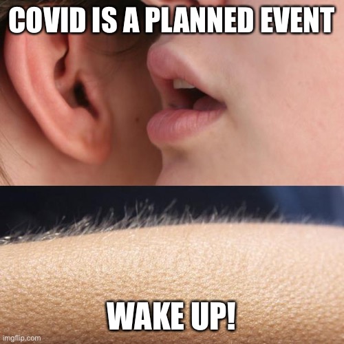 Wake up and smell the covid | COVID IS A PLANNED EVENT; WAKE UP! | image tagged in goosebumps | made w/ Imgflip meme maker