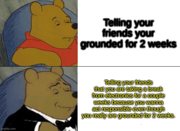 am i wrong | Telling your friends your grounded for 2 weeks; Telling your friends that you are taking a break from electronics for a couple weeks because you wanna act responsible even though you really are grounded for 2 weeks. | image tagged in memes,tuxedo winnie the pooh,funny | made w/ Imgflip meme maker