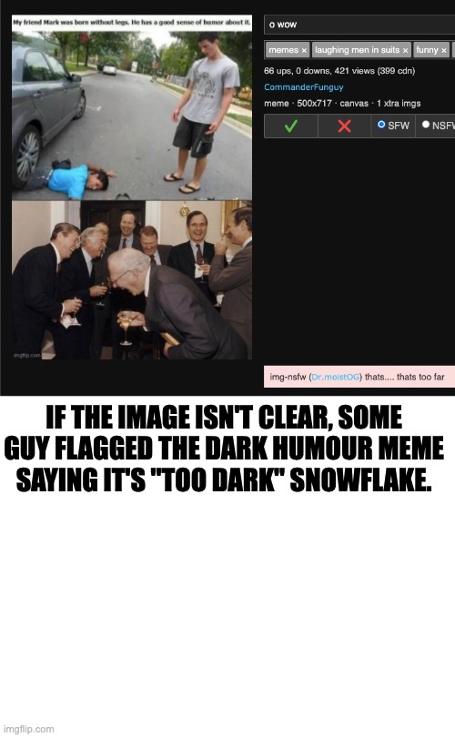 ... | IF THE IMAGE ISN'T CLEAR, SOME GUY FLAGGED THE DARK HUMOUR MEME SAYING IT'S ''TOO DARK'' SNOWFLAKE. | image tagged in blank white template | made w/ Imgflip meme maker
