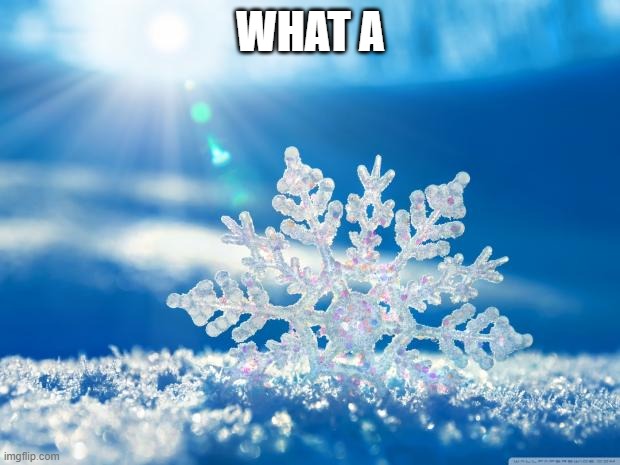 snowflake | WHAT A | image tagged in snowflake | made w/ Imgflip meme maker