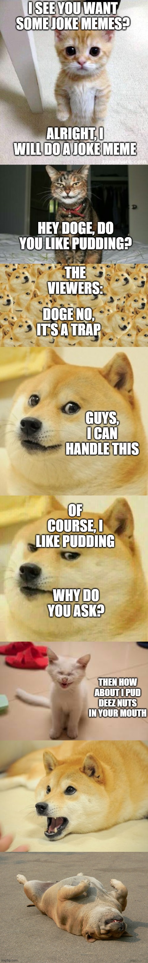 How to make a pudding joke | I SEE YOU WANT SOME JOKE MEMES? ALRIGHT, I WILL DO A JOKE MEME; HEY DOGE, DO YOU LIKE PUDDING? THE VIEWERS:; DOGE NO, IT'S A TRAP; GUYS, I CAN HANDLE THIS; OF COURSE, I LIKE PUDDING; WHY DO YOU ASK? THEN HOW ABOUT I PUD DEEZ NUTS IN YOUR MOUTH | image tagged in memes,long meme,story memes,joke memes | made w/ Imgflip meme maker