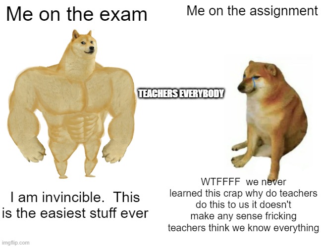 When you get your exam vs. assignment | Me on the exam; Me on the assignment; TEACHERS EVERYBODY; WTFFFF  we never learned this crap why do teachers do this to us it doesn't make any sense fricking teachers think we know everything; I am invincible.  This is the easiest stuff ever | image tagged in memes,buff doge vs cheems | made w/ Imgflip meme maker