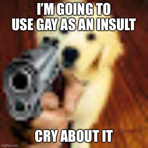 Mod Note: Kinda gay ngl | I’M GOING TO USE GAY AS AN INSULT; CRY ABOUT IT | image tagged in dog gun | made w/ Imgflip meme maker