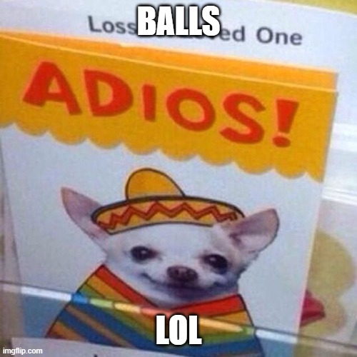 chihuahua adios | BALLS; LOL | image tagged in chihuahua adios | made w/ Imgflip meme maker