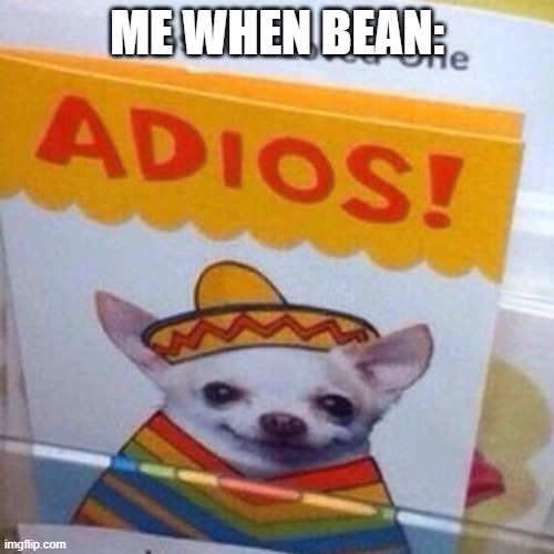 chihuahua adios | ME WHEN BEAN: | image tagged in chihuahua adios | made w/ Imgflip meme maker