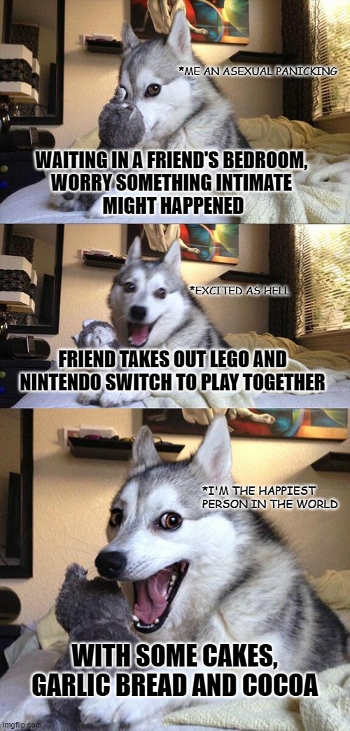 Game night is the best | *ME AN ASEXUAL PANICKING; WAITING IN A FRIEND'S BEDROOM, 
WORRY SOMETHING INTIMATE 
MIGHT HAPPENED; *EXCITED AS HELL; FRIEND TAKES OUT LEGO AND NINTENDO SWITCH TO PLAY TOGETHER; *I'M THE HAPPIEST PERSON IN THE WORLD; WITH SOME CAKES, GARLIC BREAD AND COCOA | image tagged in memes,bad pun dog,asexual | made w/ Imgflip meme maker