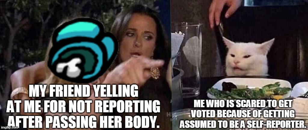 Plus, I was the second Imposter. | MY FRIEND YELLING AT ME FOR NOT REPORTING AFTER PASSING HER BODY. ME WHO IS SCARED TO GET VOTED BECAUSE OF GETTING ASSUMED TO BE A SELF-REPORTER. | image tagged in woman yelling at cat | made w/ Imgflip meme maker