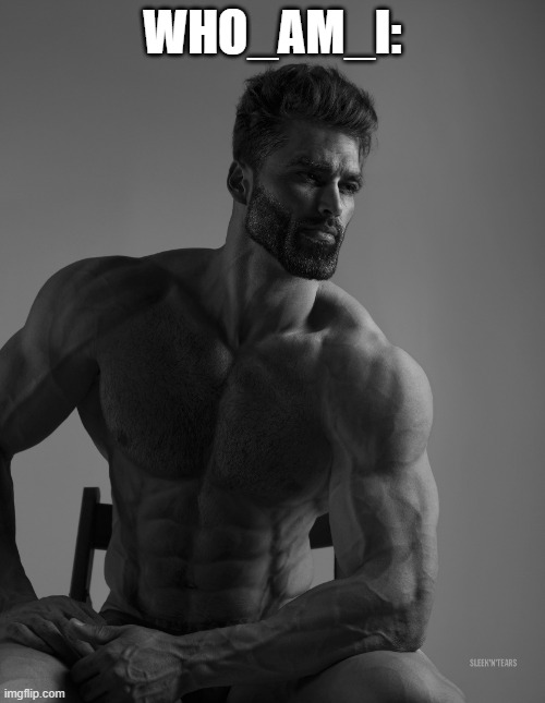 Giga Chad | WHO_AM_I: | image tagged in giga chad | made w/ Imgflip meme maker