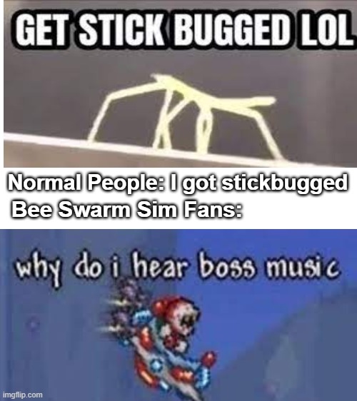 Blank White Template | Normal People: I got stickbugged; Bee Swarm Sim Fans: | image tagged in blank white template,get stick bugged lol,why do i hear boss music,roblox meme,roblox | made w/ Imgflip meme maker