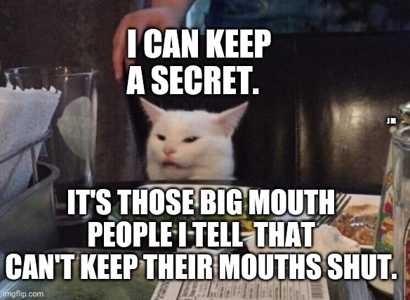 Salad cat |  I CAN KEEP A SECRET. J M; IT'S THOSE BIG MOUTH PEOPLE I TELL  THAT CAN'T KEEP THEIR MOUTHS SHUT. | image tagged in salad cat | made w/ Imgflip meme maker